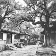 账房先生是什么形象